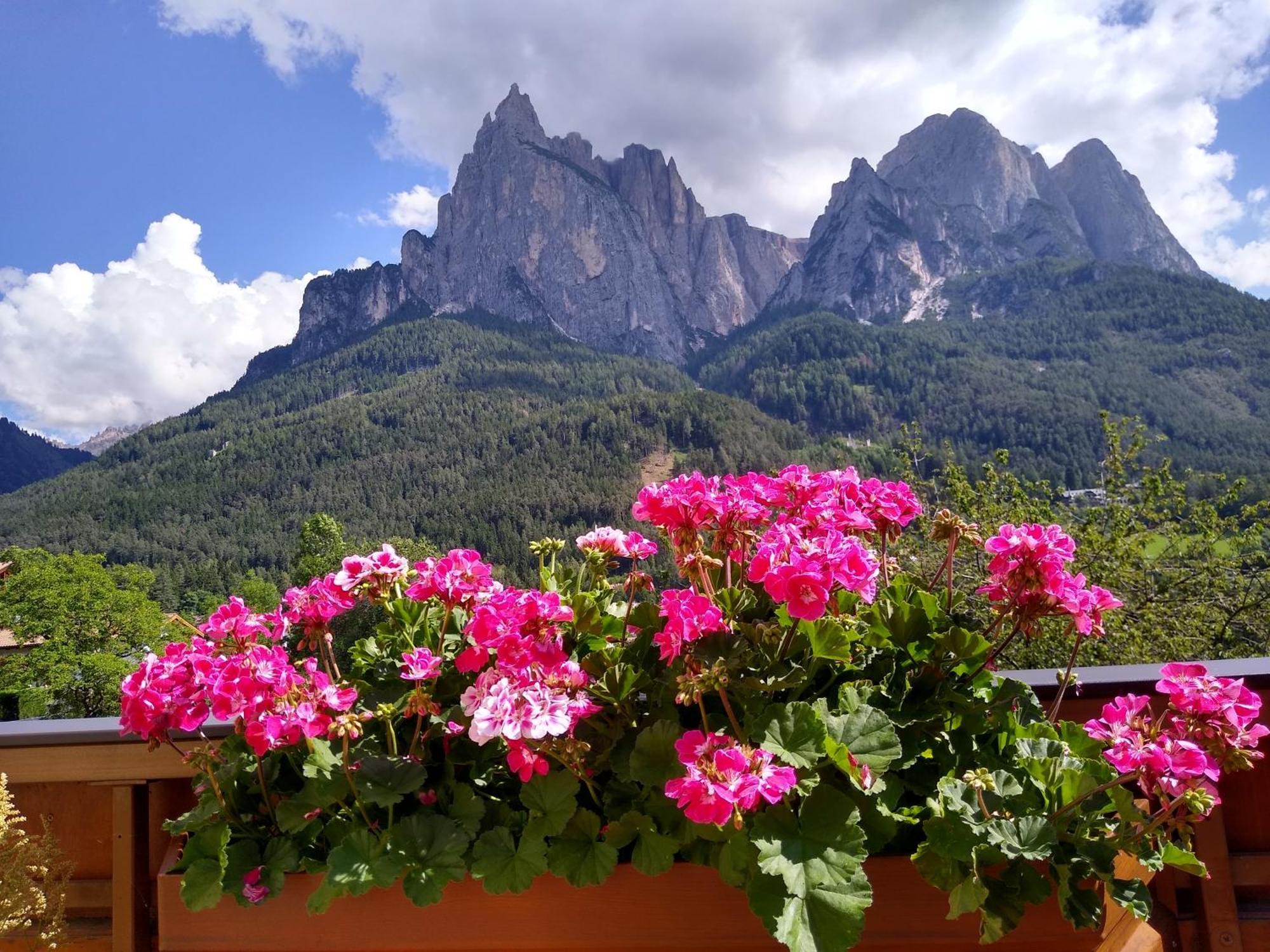 Apartment Euringer Villa Erna Siusi Luaran gambar